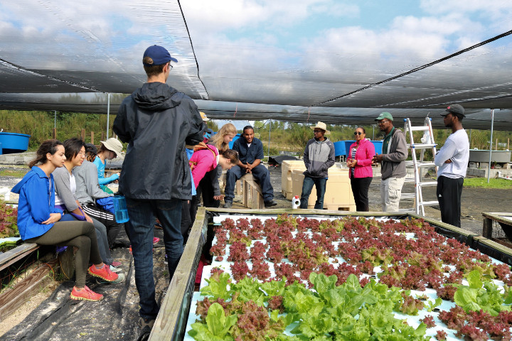 Visiting_students_tour_the_demonstration_farm__including_the_hydroponics_unit.jpg