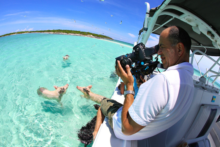 exuma_pigs_15.jpg