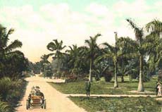 coconut_grove02.jpg