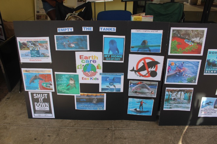 EARTHCARE_Dolphin_Project_Information_boards.jpg