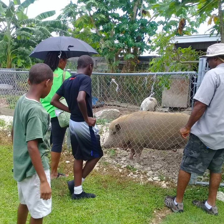EARTHCARE_Eco_Kids_learning_about________Abaco_Boars_from_George_Johnson_of_Ol__Freetown_Farm.jpg