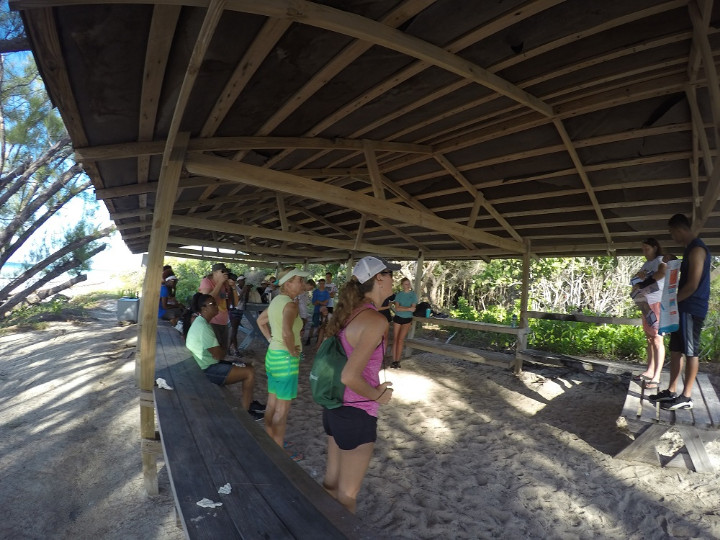 Gail_Woon__EARTHCARE_Founder______________explains_the_data_cards_to_volunteers.jpg