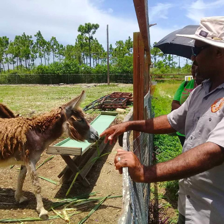 George_Johnson__Veteran_Farmer__Ol_________Freetown_Farmer_teaches_EARTHCARE_Eco_Kids_about_the_Inagua_____Donkeys.jpg