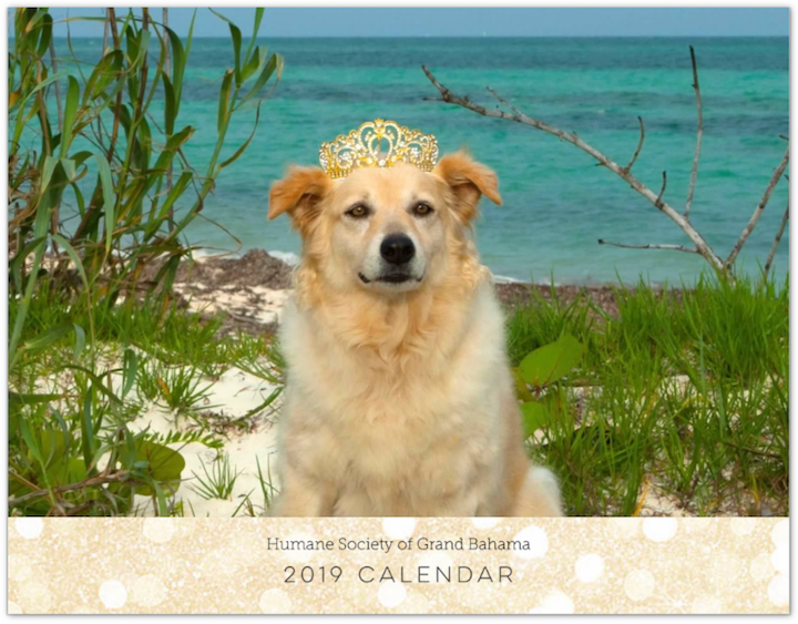 Humane_Society_Calendar.png