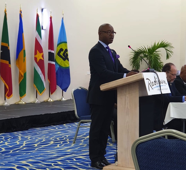 MInister_Henfield_at_Opening_of_COFCOR_in_Grenada_May_13_2019.jpg