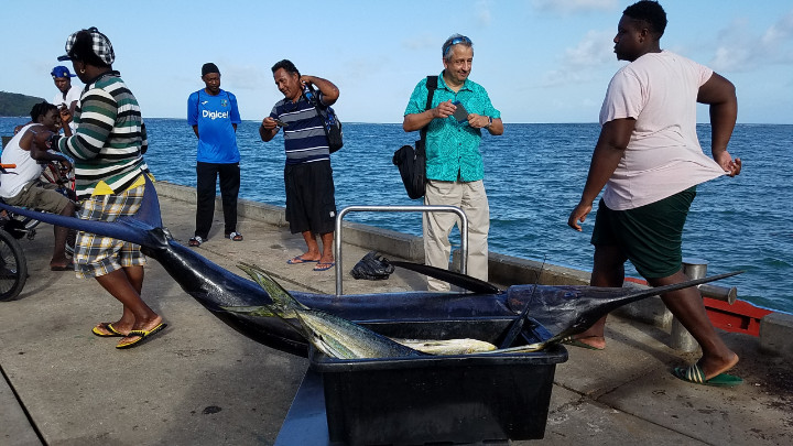 Yellow_Fin_Tunas_were_caught_around_the_FADs_during_the_Grenada_leg_of_the_study_tour.jpg