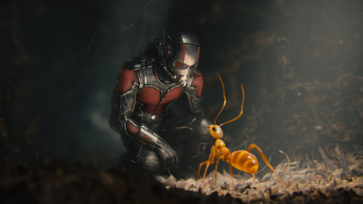 ant-man_1_.jpg