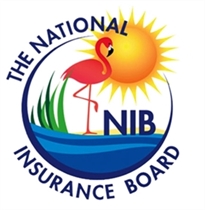 nib-logo-3.jpg