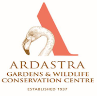 ADASTRA_LOGO.png