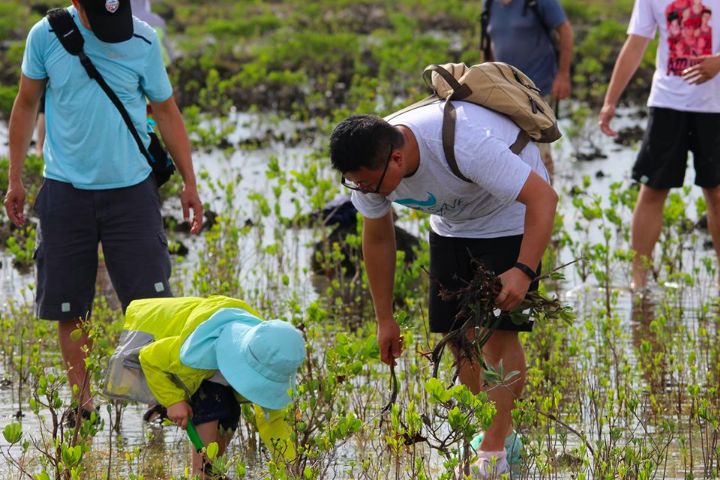 Qiantang_River_Waterkeeper_and_Earth_Successor_planting_mangroves_on_Grand_Bahama_Island.jpg