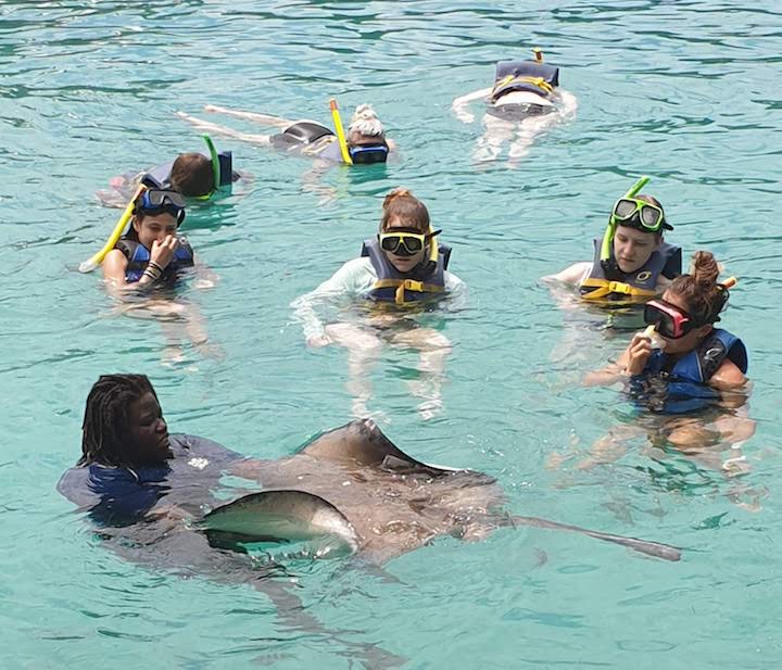 Students_in_Broadreach_Veterinary_Medicine_12_day_adventure_in_The_Bahamas__enjoy_a_stingray_encounter_at_Dolphin_Encounters.jpg