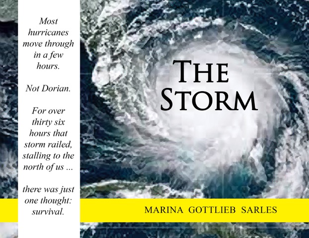 TheSTORM.2019.Marina.Gottlieb.Sarles_2.jpeg