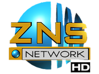 ZNS_LOGO.png