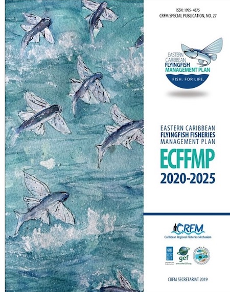 ECF_FMP_2020-2021_cover_page.JPG