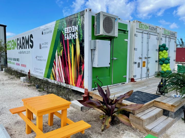 Hydroponic_Farming_in_Repurposed_Containers.jpg