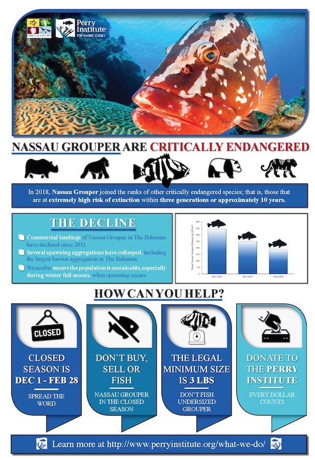 Nassau_Grouper_Critically_Endangered_Poster_pic.jpg