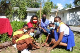 Photo_1_100_Trees_Planted_For_CIBC_FirstCaribbean_s_100th_Year_Banking_Anniversary_1.jpg