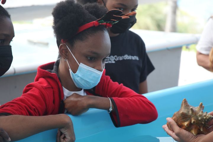 Tylea_Manchester__EARTHCARE_Eco_Kid_____examining_a_juvenile_Queen_Conch.jpg