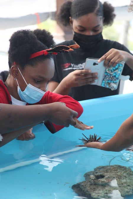 Tylea_and_Rachelle_Manchester______EARTHCARE_Eco_Kids_examine_a_Sea_Urchin_at_the_Touch_Tank.jpg