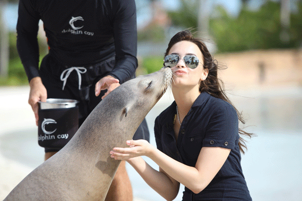 http://www.thebahamasweekly.com/uploads/3/DemiAnimlg2.gif