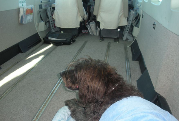 DogTravelDSCN1674.jpg