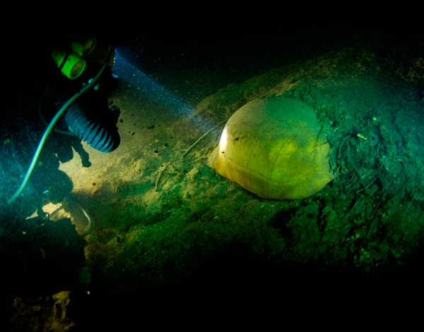 P2-Abaco-Blue-HOle-Credit.Curt-Bowen.jpg