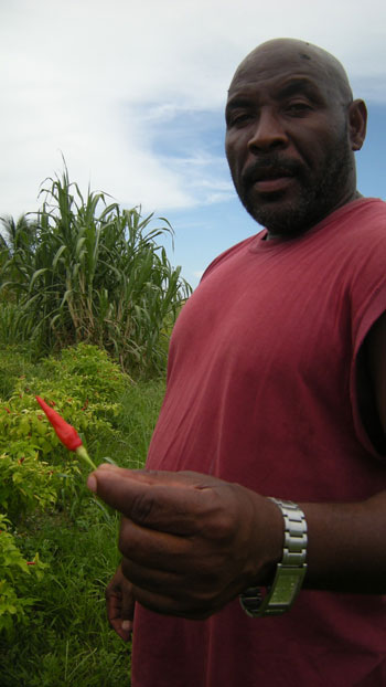 GPBasil-Miller.jpg
