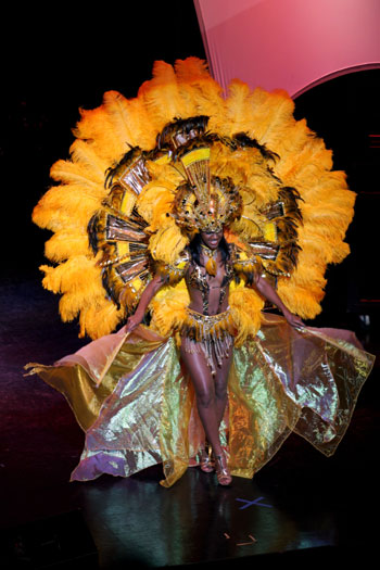 f1-Miss-Universe-Costume-Au.jpg