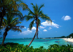 bahamas.jpg