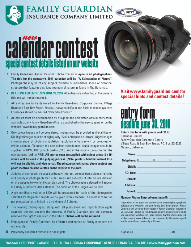 2011 Calendar A4. 2011 year planner 2011 a4