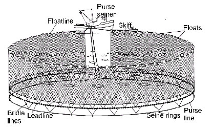 net2l.jpg