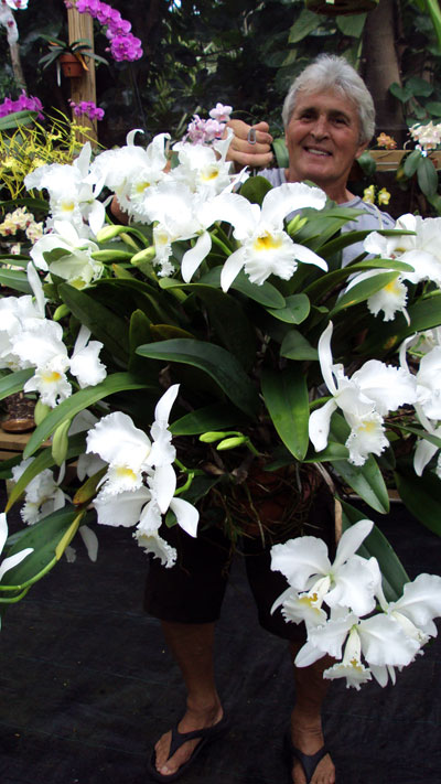 BParker-with-a-Cattleya-Plant-with-60-x-6__-blooms.jpg