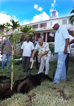 sm-GG_Tree-planting-July-9th_-2011-----46843.jpg