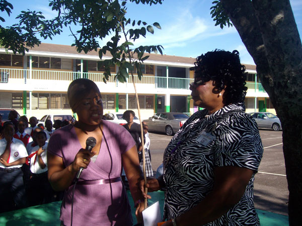 sandilands primary school